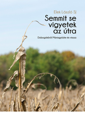 Semmit se vigyetek az útra - Elek László SJ