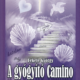 A gyógyító Camino - Fekete György